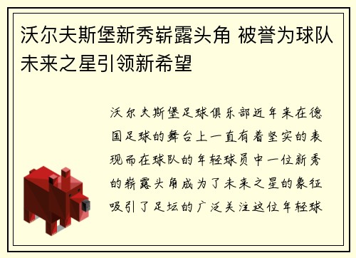 沃尔夫斯堡新秀崭露头角 被誉为球队未来之星引领新希望